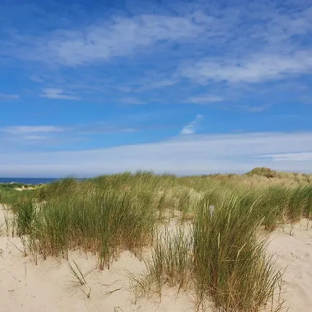 Cs 32 - Callassande *